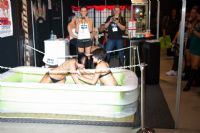 2008�Ĵ����ǰ������³���չsexpoչ���ֳ�ͼƬ33