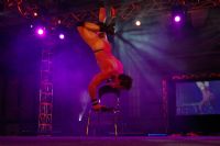 2008�Ĵ����ǰ������³���չSexpo���ʱ���ͼƬ20