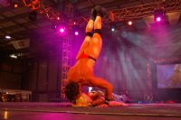 2008�Ĵ����ǰ������³���չSexpo���ʱ���ͼƬ24