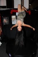 2009�Ĵ�����ī��������չ������̨����ͼƬ46