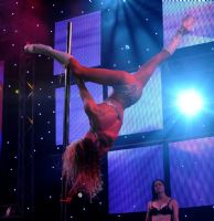 2009�Ĵ�����ī��������չ������̨����ͼƬ30