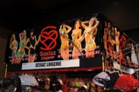 2009�Ĵ�����ī��������չsexpo��չ��ҵͼƬ27