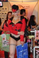 2010�Ĵ�����ī��������չ��չ��ҵ�ڶ�ͼƬ66