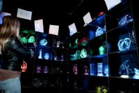 2010�Ĵ�����Ϥ�����չ���ʷ׳ʲ��ݴ���ͼƬ76