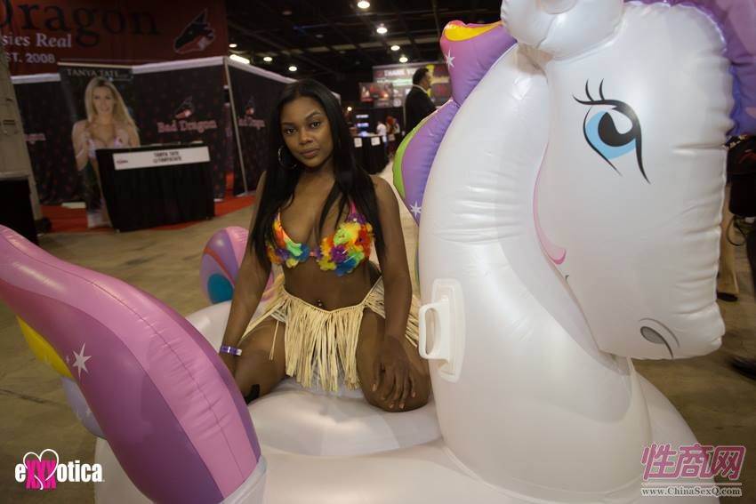 2017美国eXXXotica芝加哥成人展精彩表演图片17