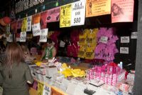 2011�Ĵ����ǲ���˹�����չ��չ��ҵ(1)ͼƬ49