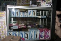 2011�Ĵ����ǲ���˹�����չ��չ��ҵ(2)ͼƬ26