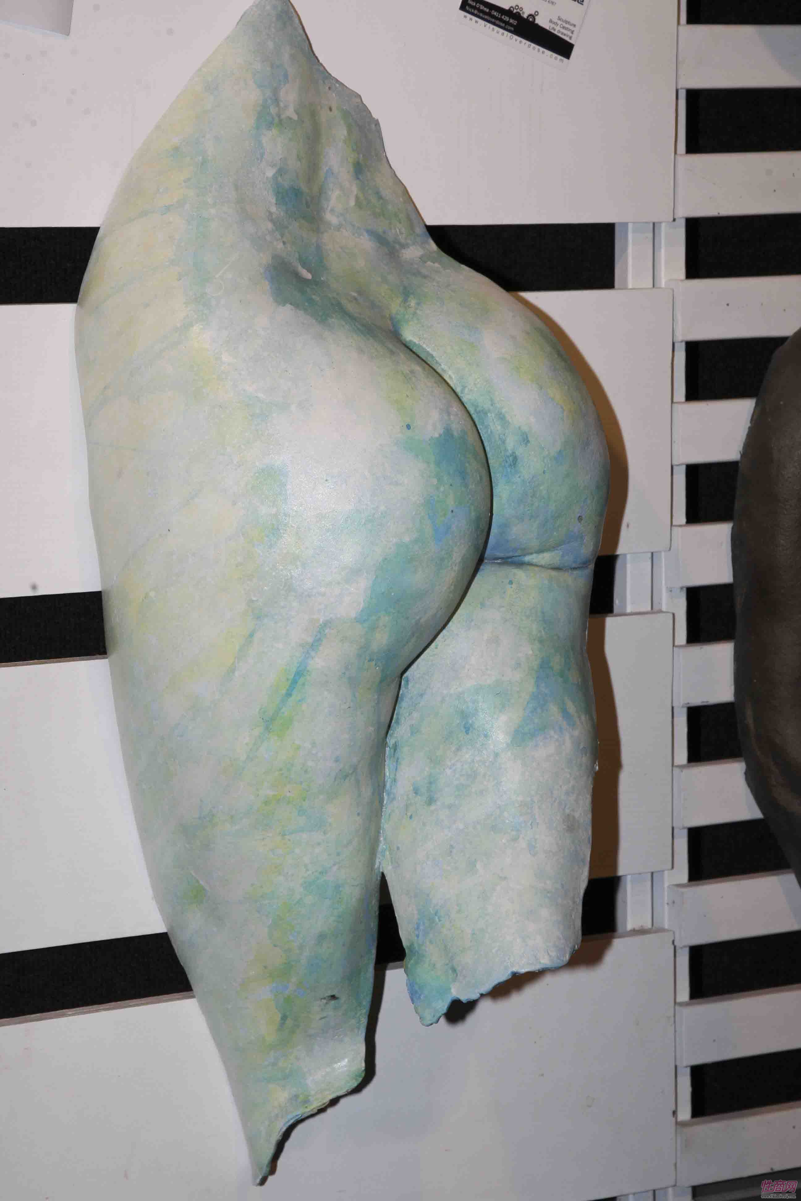 2011澳大利亚布里斯班成人展展会现场图片32