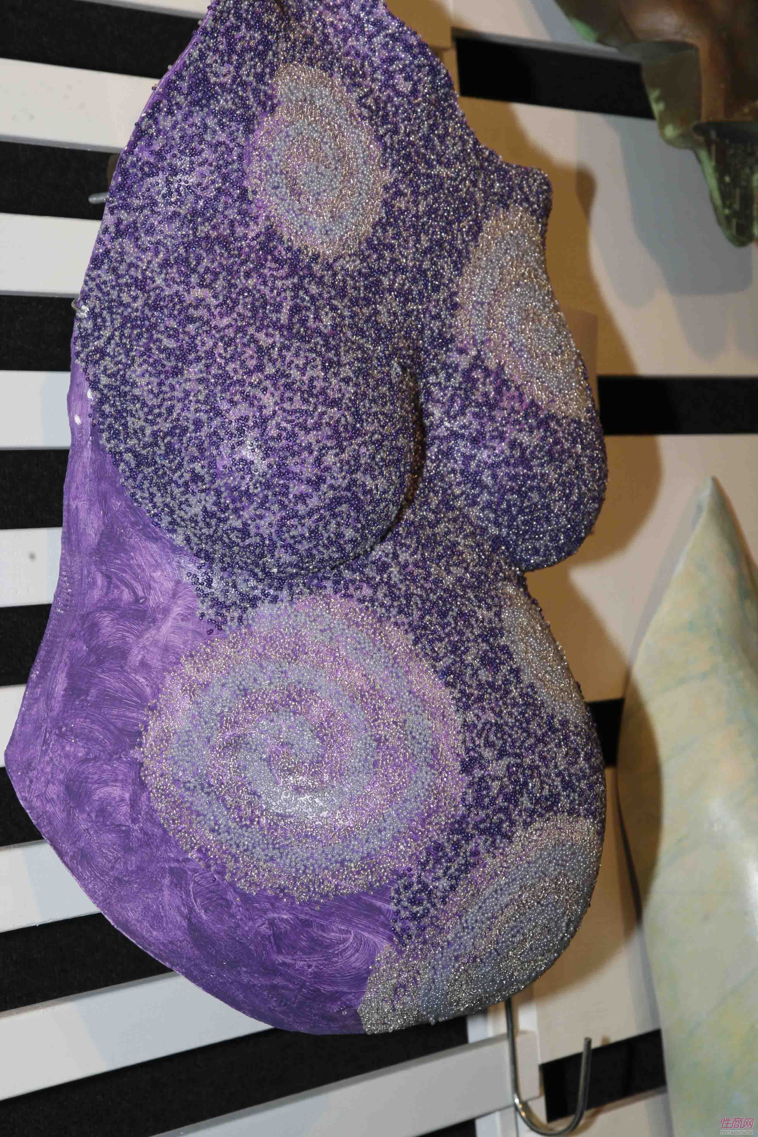 2011澳大利亚布里斯班成人展展会现场图片33