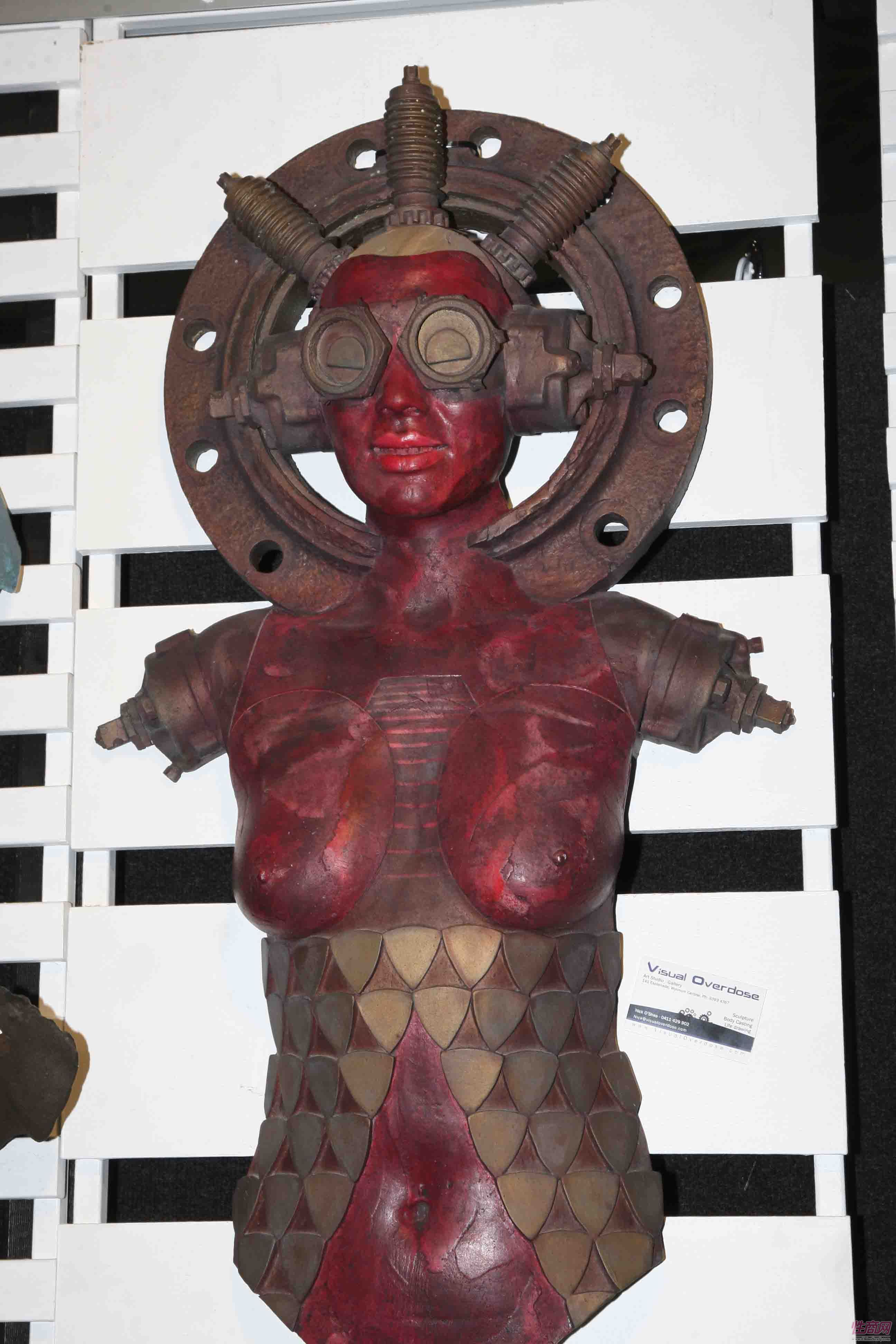 2011澳大利亚布里斯班成人展展会现场图片34