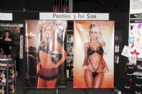 2011�Ĵ����ǲ���˹�����չ��չ��ҵ(2)ͼƬ63