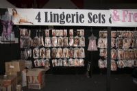 2011�Ĵ����ǲ���˹�����չ��չ��ҵ(4)ͼƬ22