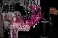 2011�Ĵ����ǲ���˹�����չ��չ��ҵ(4)ͼƬ36