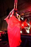 2012�Ĵ����ǲ���˹�����չSexpo���ʼ���ͼƬ19