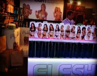 2012�Ĵ����ǲ���˹�����չSexpo���ʼ���ͼƬ29