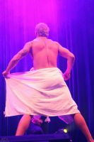 2012�Ĵ����Ƕ�˹ά������չSexpo�ֳ�����ͼƬ39