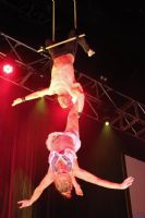 2012�Ĵ����Ƕ�˹ά������չSexpo�ֳ�����ͼƬ45