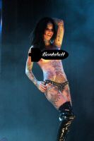 2012�Ĵ����Ƕ�˹ά������չSexpo�ֳ�����ͼƬ50