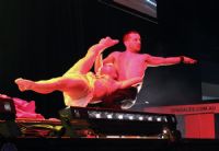 2012�Ĵ����Ƕ�˹ά������չSexpo�ֳ�����ͼƬ51