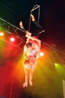 2012�Ĵ����Ƕ�˹ά������չSexpo�ֳ�����ͼƬ57