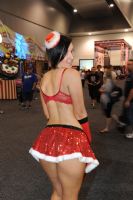 2012�Ĵ�����ī��������չ�Ը�ģ�ط�������ͼƬ40