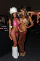 2012�Ĵ�����ī��������չ�Ը�ģ�ط�������ͼƬ59