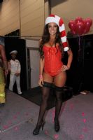 2012�Ĵ�����ī��������չ�Ը�ģ�ط�������ͼƬ20