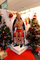 2012�Ĵ�����ī��������չ���ں����糱ͼƬ35