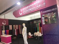 2017�й����Ƴ���չ��������ʢ��Ļ��ͼƬ14