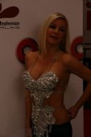 2008�¹����ֳ���չ������Ȥ��Ʒ����ͼƬ42