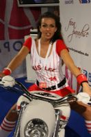 2008�¹����ֳ���չ������Ȥ��Ʒ����ͼƬ45