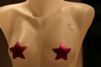 2008�¹����ֳ���չ������Ȥ��Ʒ����ͼƬ53