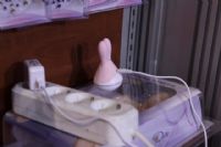 2012��������˹����չEroExpo�ֳ�����ͼƬ35