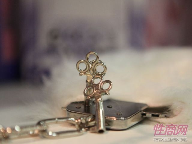 2011俄罗斯成人展EroExpo参展产品图片3