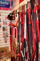 2014����˹����չEroExpoƵ����Ʒ���۽�ͼƬ24