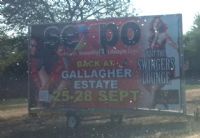 ���˲����еĺ�����2014�Ϸǳ���չSexpoͼƬ27