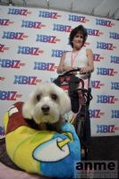 2017���ļ���ɼ�����ʳ���չ--�ֳ�����ͼƬ55