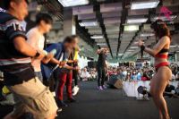 2016̨����˲���TAE�ֳ������������죩ͼƬ24