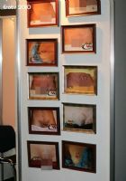 2010����ά�ǳ���չErots�ֳ����ʼ���ͼƬ31