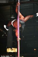 2009����ά�ǳ���չ�赸���ݾ��ʷ׳�ͼƬ36