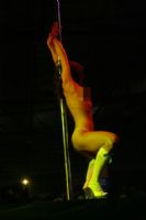 2009����ά�ǳ���չ�赸���ݾ��ʷ׳�ͼƬ48