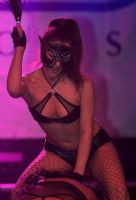 2009����ά�ǳ���չ�赸���ݾ��ʷ׳�ͼƬ59