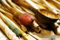 2008��ʮ������ά�ǳ���չErots���ʼ���ͼƬ39