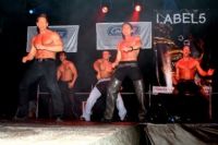 2008��ʮ������ά�ǳ���չErots���ʼ���ͼƬ24