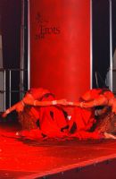 2004��6������ά�ǳ���չErots���ʼ���ͼƬ30