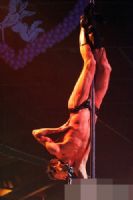 2007��9������ά�ǳ���չErots�ֳ�����ͼƬ36