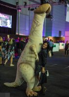 2017�Ĵ����ǲ���˹�����չ�ֳ����ʼ���ͼƬ92