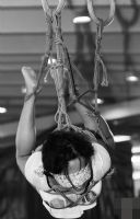 2017��������չErotikaExperience�ֳ�����ͼƬ41