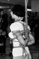 2017��������չErotikaExperience�ֳ�����ͼƬ50