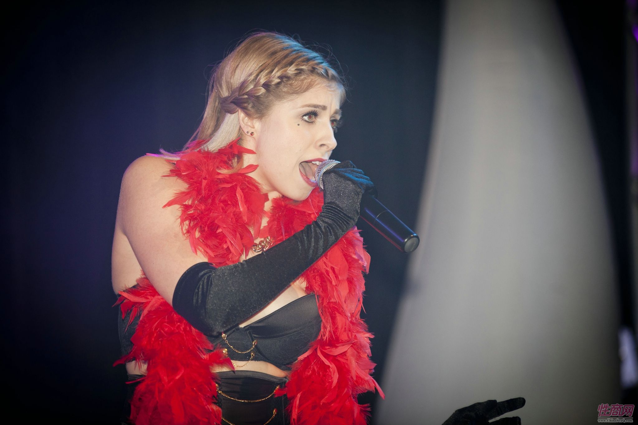 2014加拿大成人展(温哥华)TabooShow精彩集锦图片26